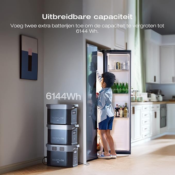 ECOFLOW DELTA 2 Max uitbreidbaar Draagbaar laadstation van